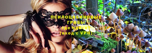 шишки Абинск