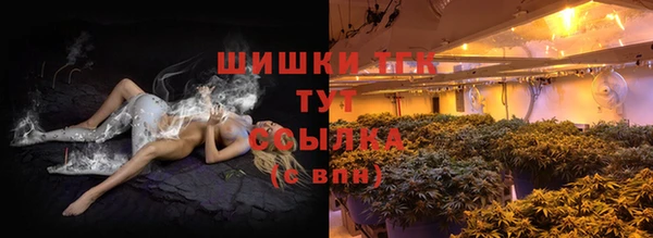 шишки Абинск