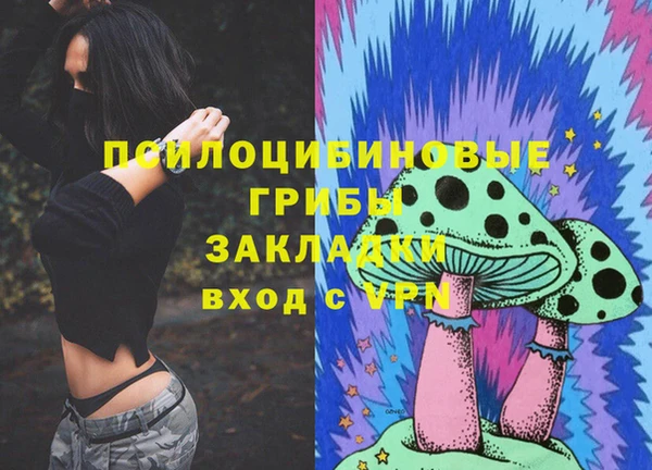 ECSTASY Михайлов